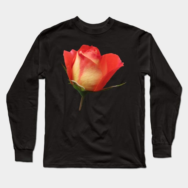 orange rose, roses, flower, flowers, bloom Long Sleeve T-Shirt by rh_naturestyles